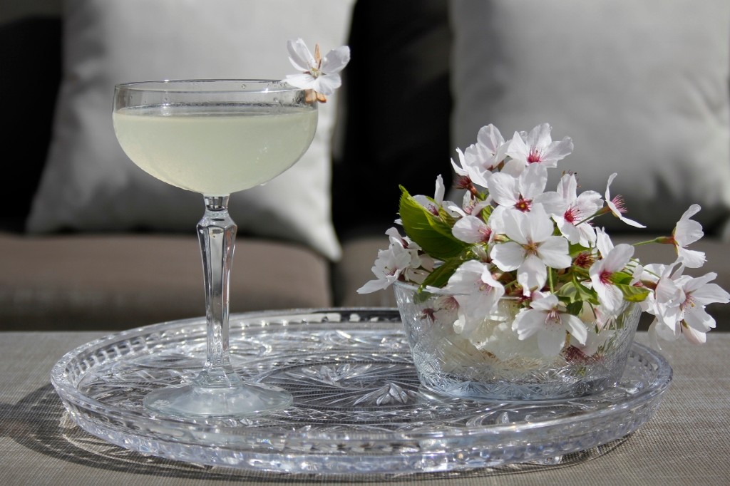 Elderflower Martini foto